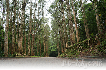 城門水塘